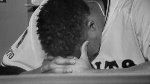 フェルム🦈 tweet media