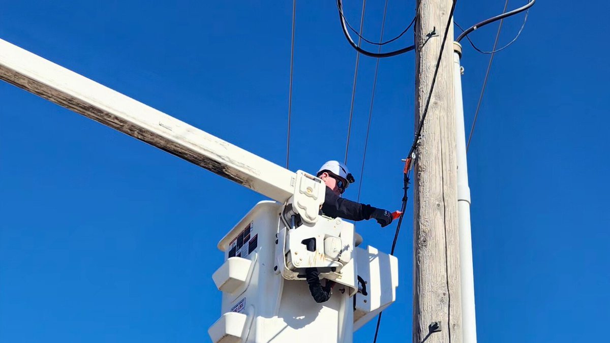 ALLO Fiber tweet media