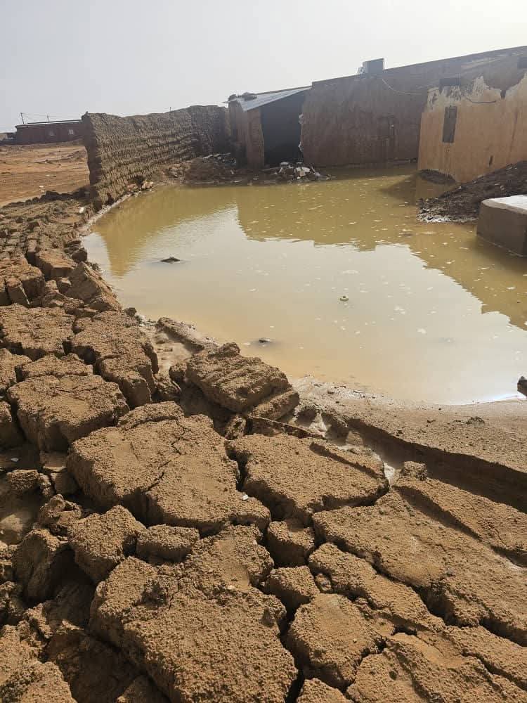 سَاجِرْ tweet media