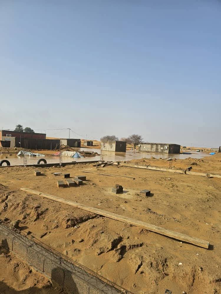 سَاجِرْ tweet media