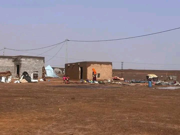 سَاجِرْ tweet media