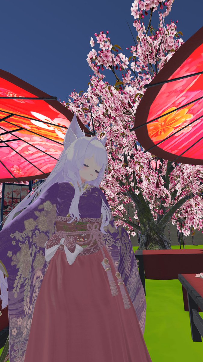 猫狐 久遠(Nyanko Quon)(くーちゃん) tweet media