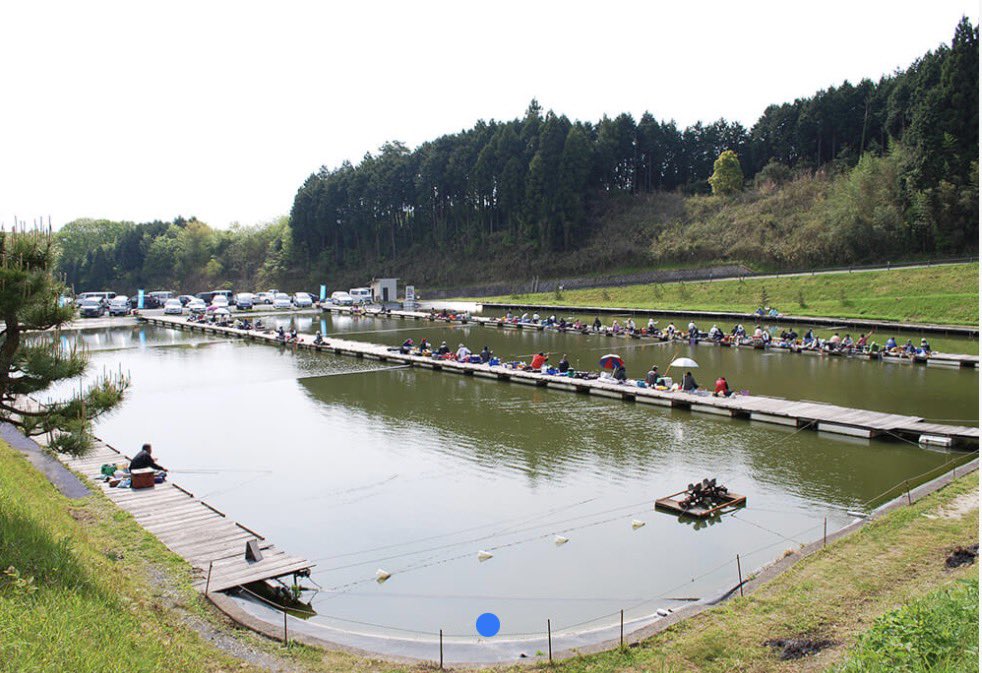 taka🐟🎣 tweet media