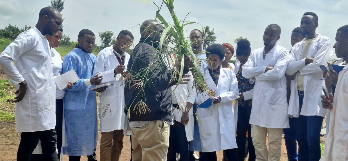 Rwanda Council of Veterinary Doctors tweet media