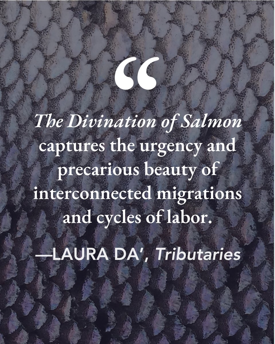 TorreyHouse's tweet photo. In a remote Alaskan fishcamp, Salmon Woman—a shapeshifting storyteller, scientist, and cultural memory keeper—tells stories by way of poems about the intimate bond between salmon, people, and the place they both call home.

PREORDER NOW 🐟 🐟 🐟  https://t.co/X3V2bAXuoA https://t.co/4zgoUs7mc2