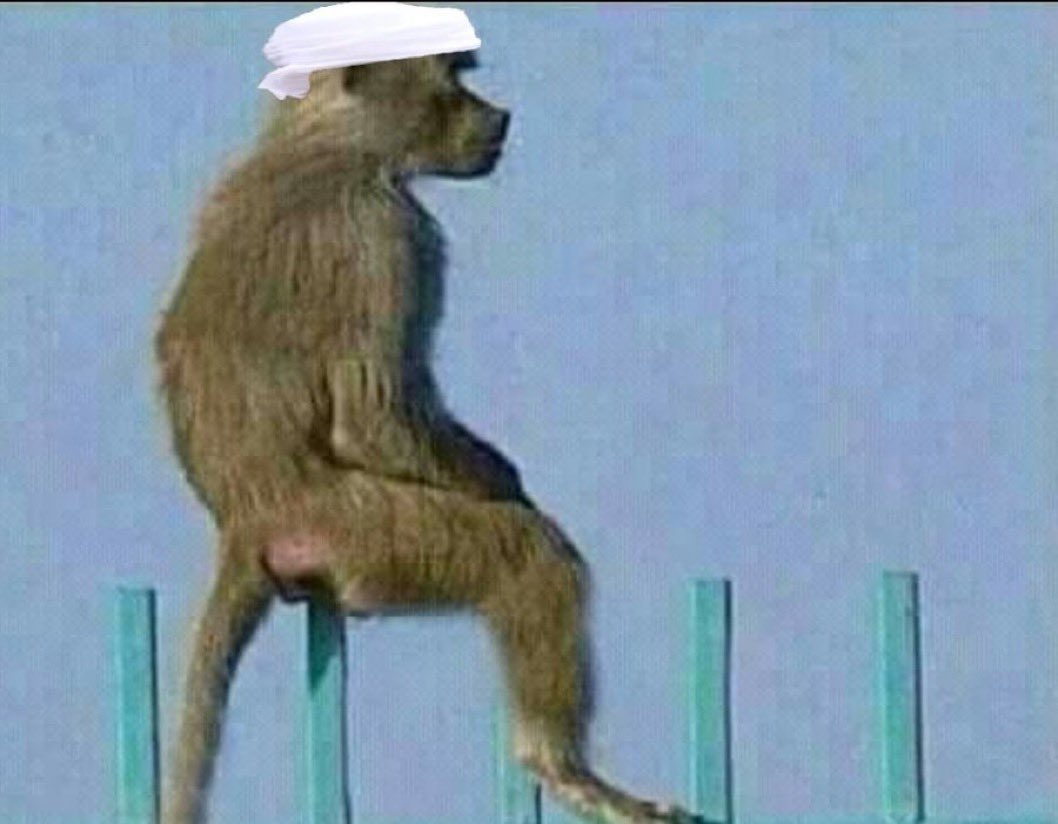 A z 🇴🇲 tweet media