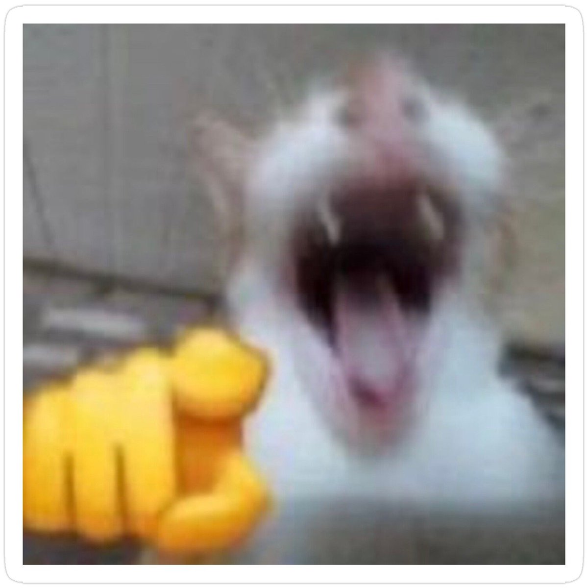 Ꮮꭺ Ꮐꮖꭲꭺɴꭺ tweet media