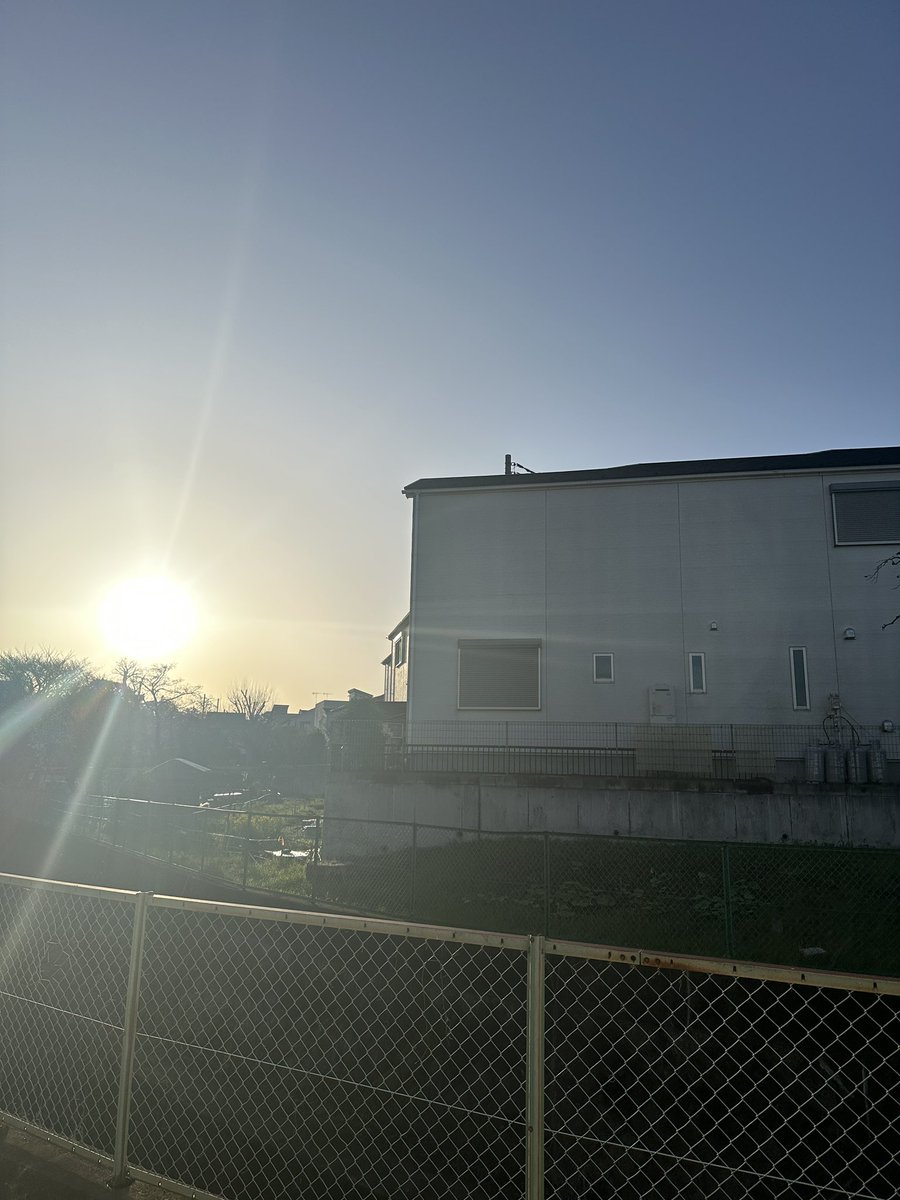 くまごろう tweet media