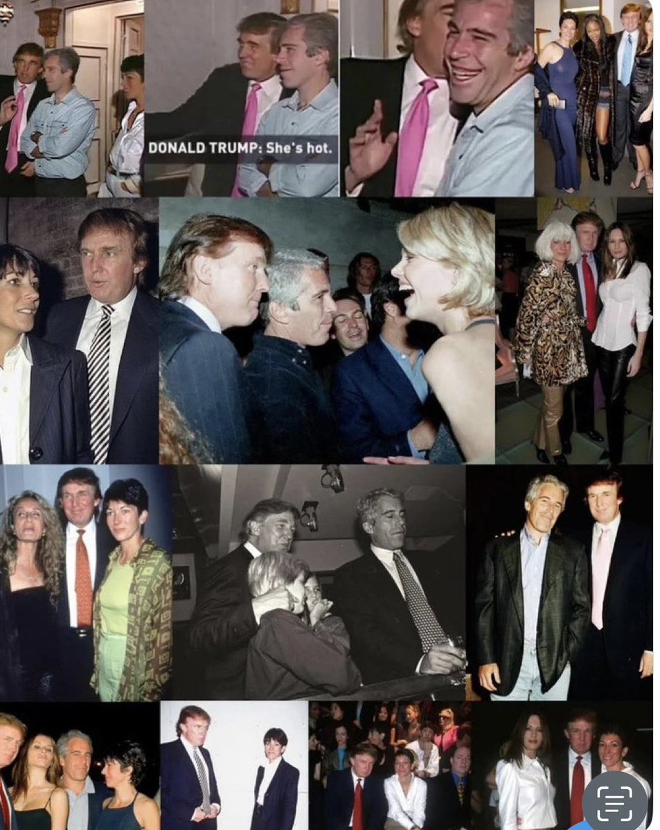 TellingTruth tweet media