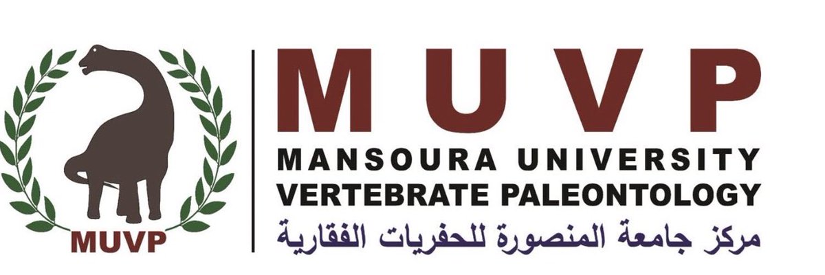 saker صقر tweet media