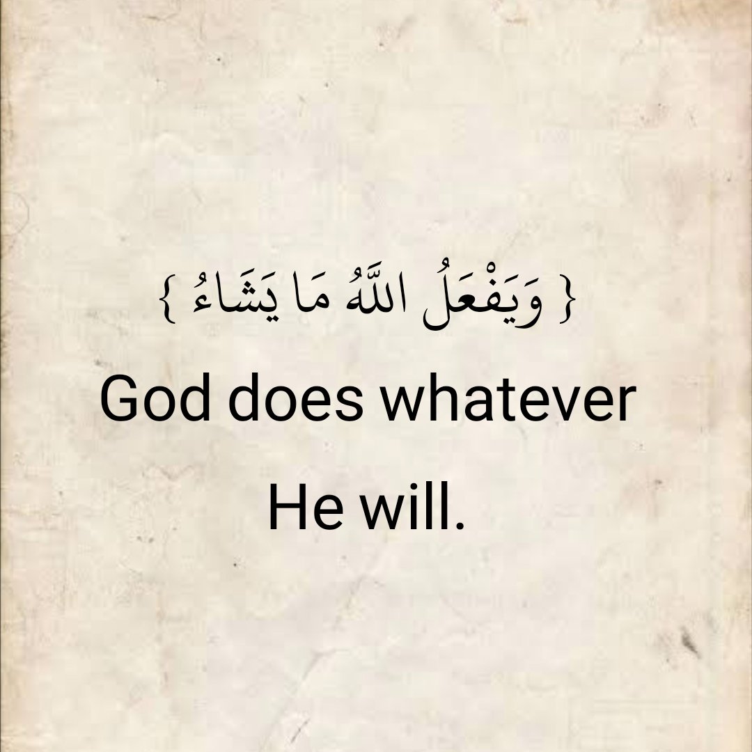 The Holy Quran tweet media