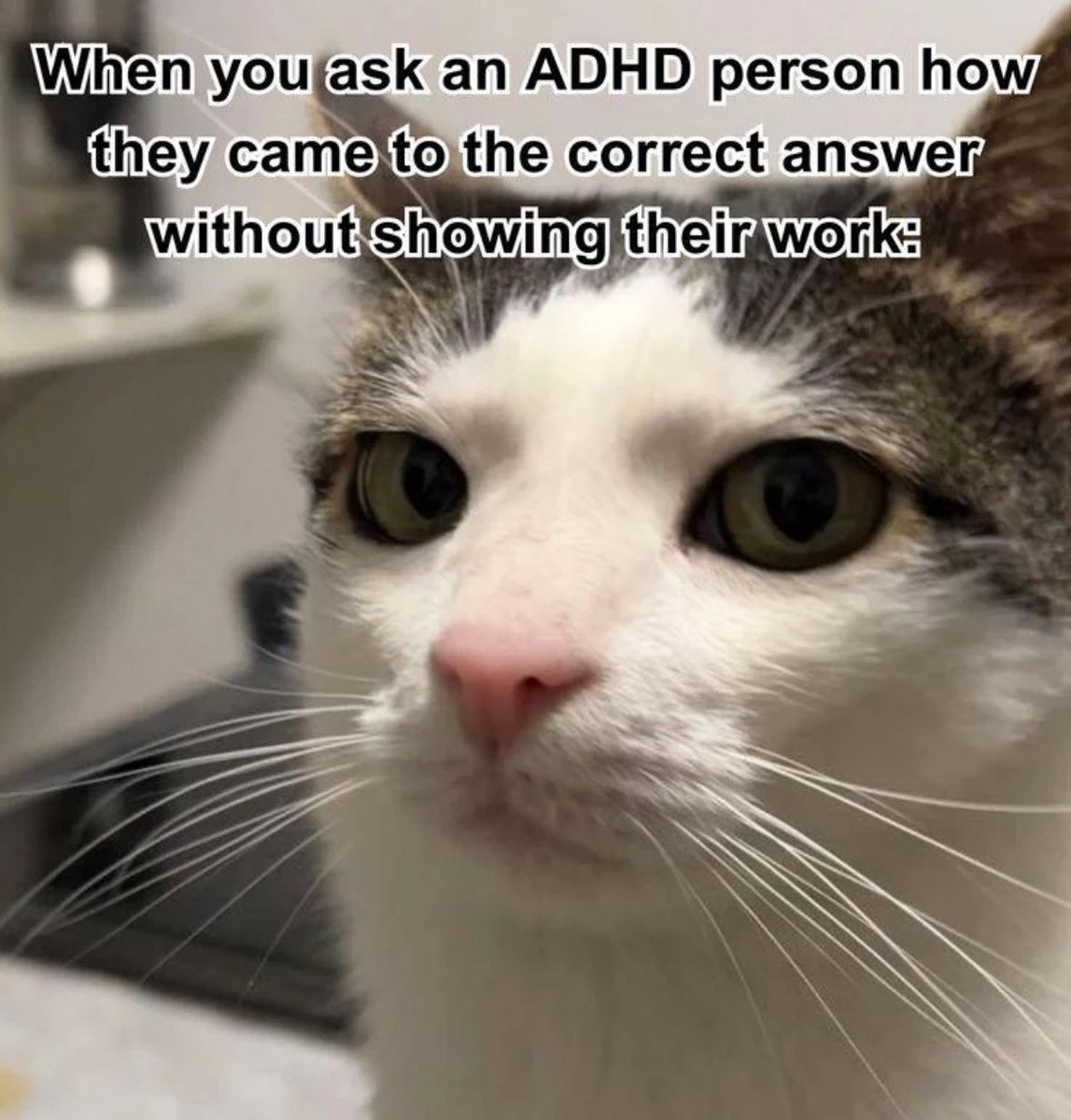 ADHD Memes tweet media