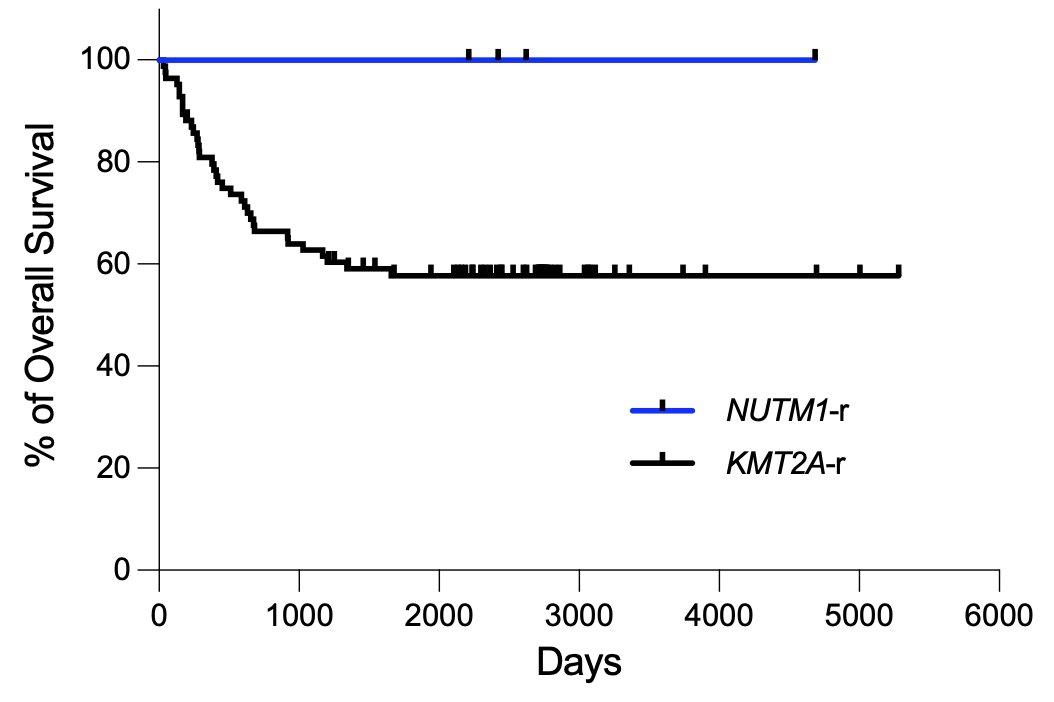 Daichi Inoue tweet media