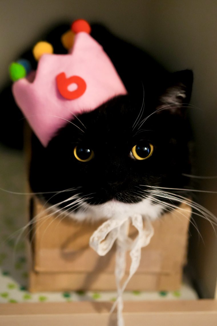 I'm Uni :3 tweet media