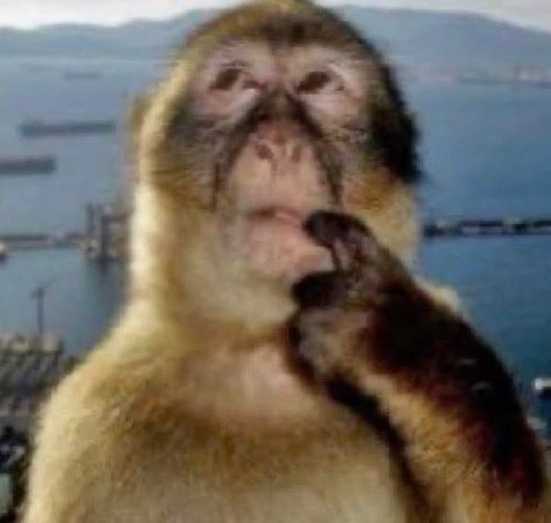 evieew (izuku's version) tweet media