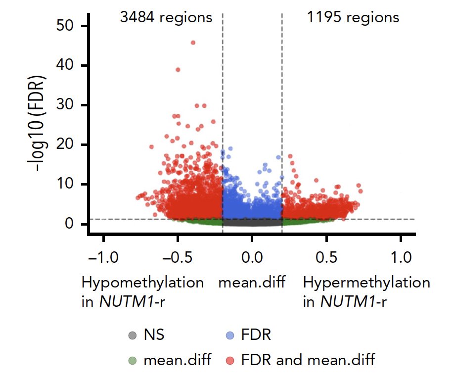 Daichi Inoue tweet media