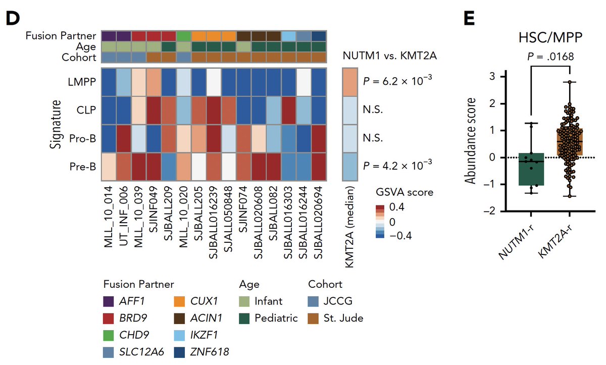 Daichi Inoue tweet media