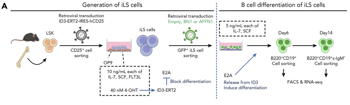 Daichi Inoue tweet media