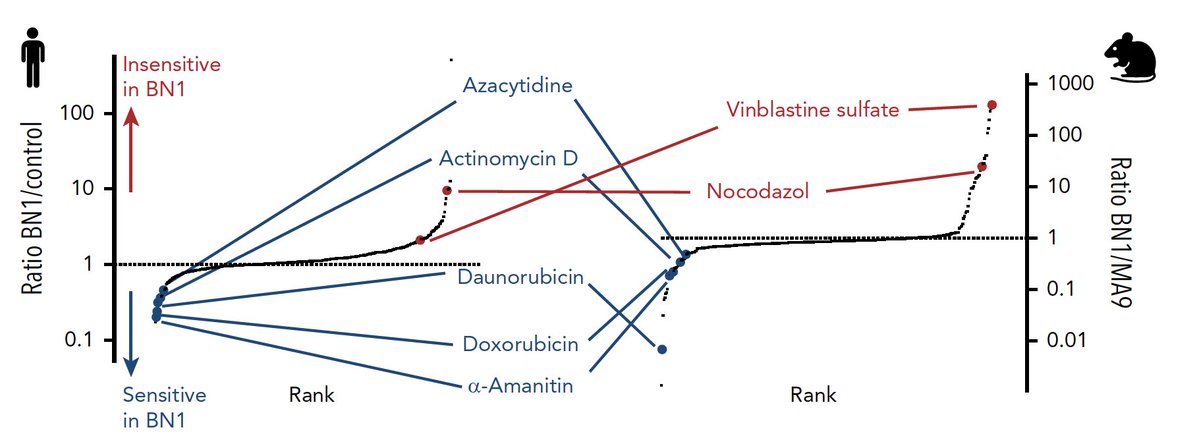 Daichi Inoue tweet media