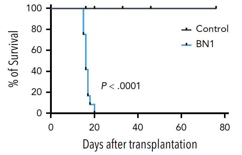 Daichi Inoue tweet media