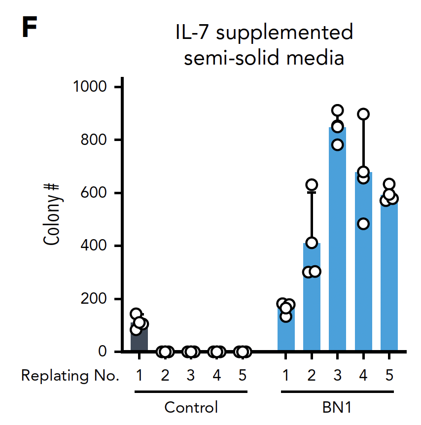 Daichi Inoue tweet media