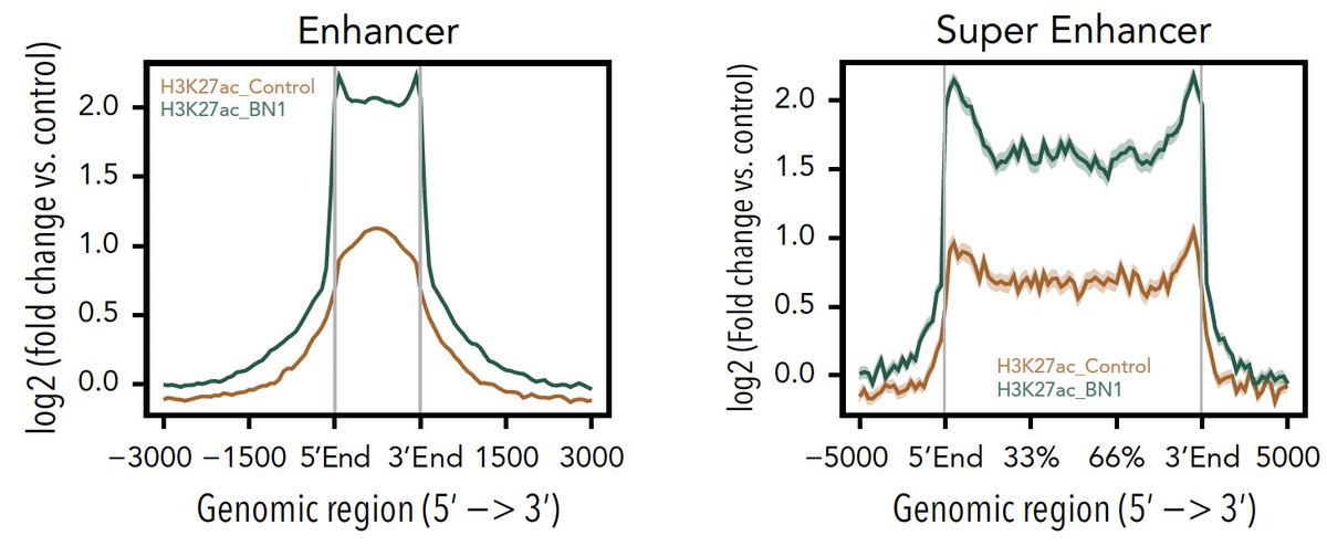Daichi Inoue tweet media