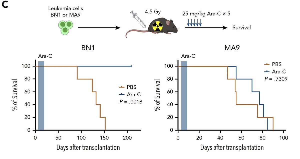 Daichi Inoue tweet media