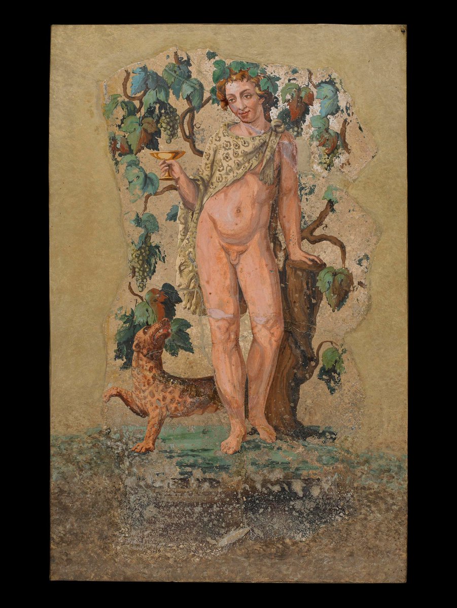 Grumpy Doctor tweet media