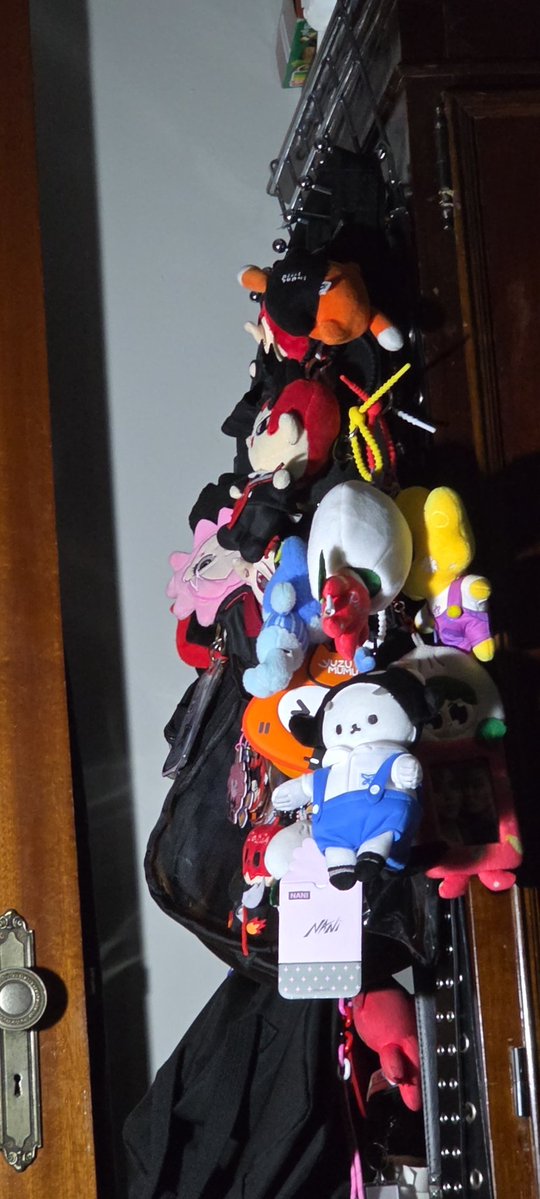 Haru💫 tigerlynx's cat 🐈‍⬛ tweet media