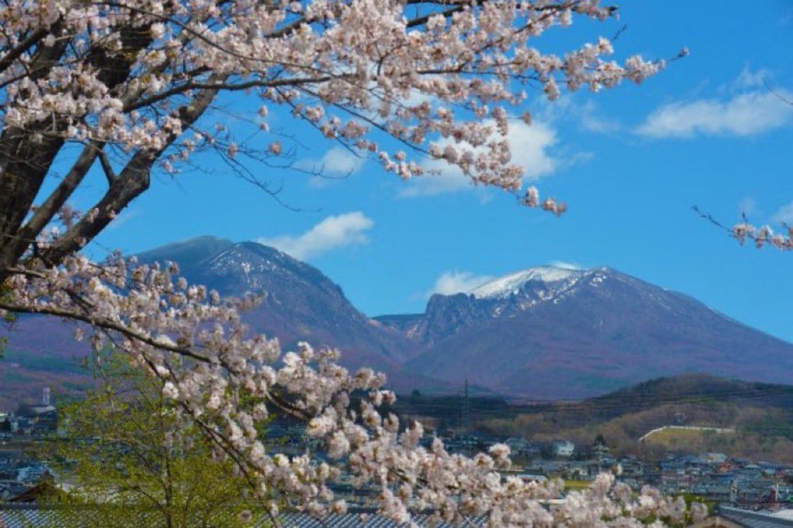 NAGANO Times🌟長野県のご当地名物に光あれ tweet media