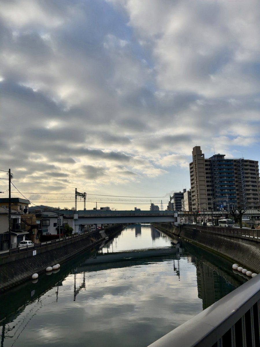 よこすか・きのぴー【カレーラブ💕】 tweet media