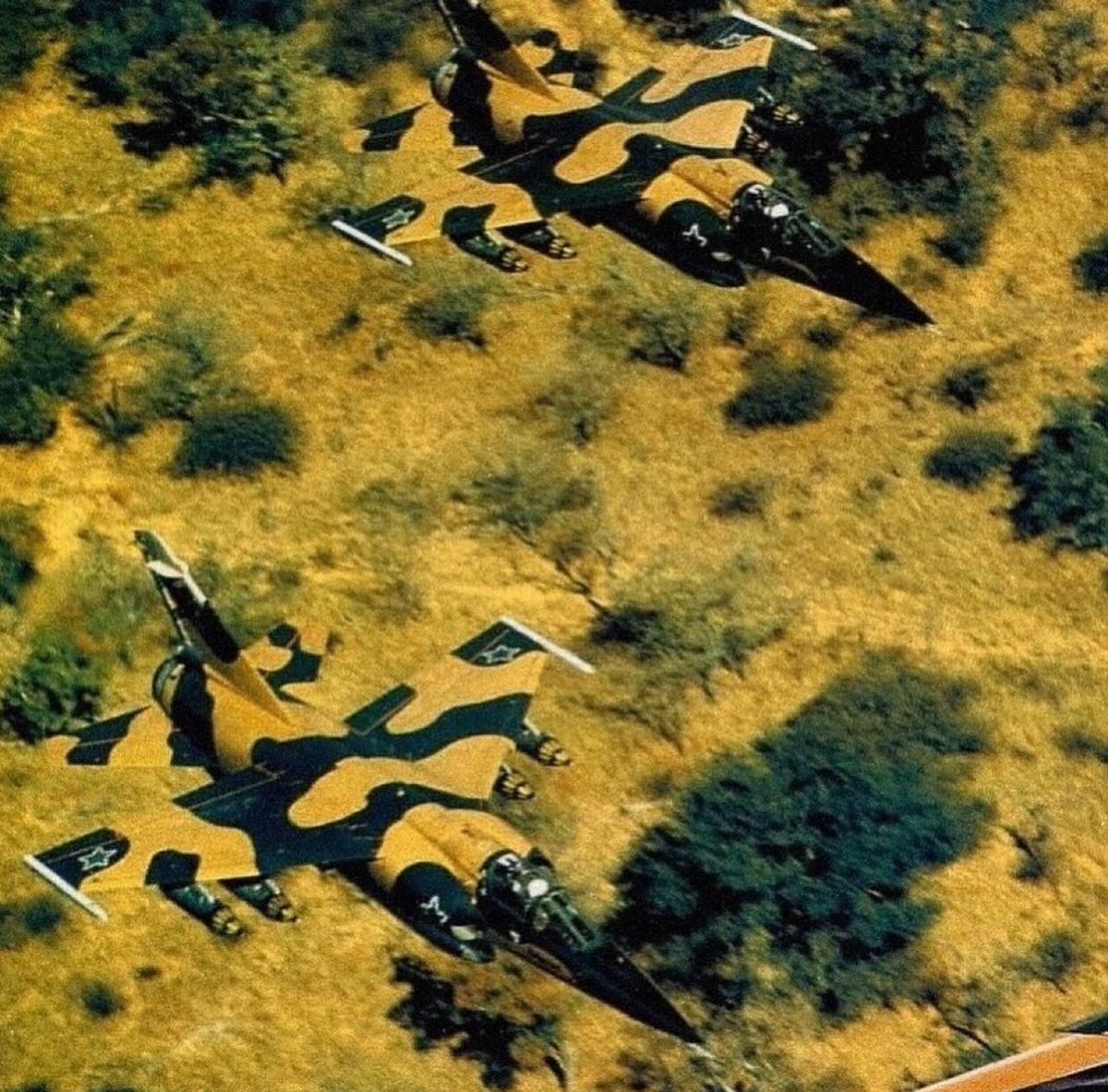 blackstar tweet media