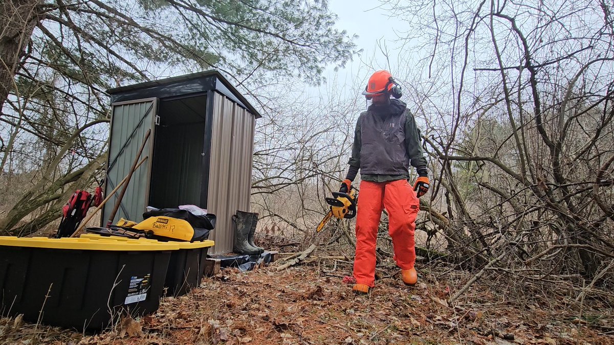 Daniel Coεmeta McNichol tweet media