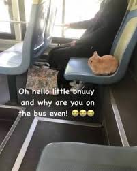 eyachim 💫 tweet media