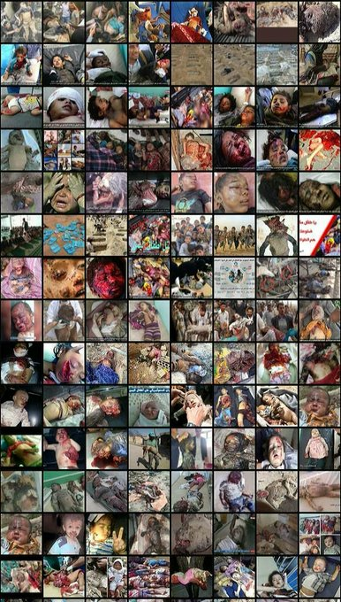 احمد مطهر tweet media