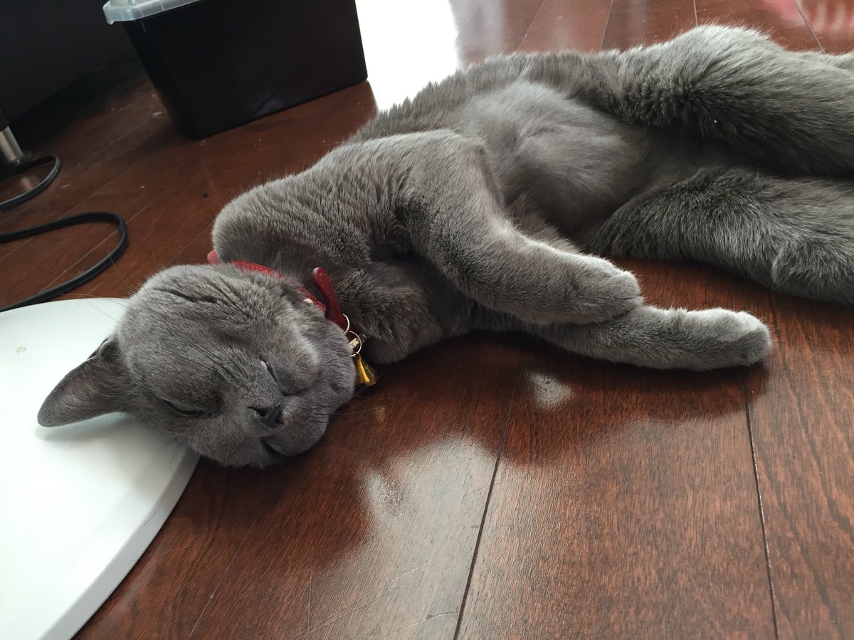 あーき｜福祉事業成長設計士 tweet media