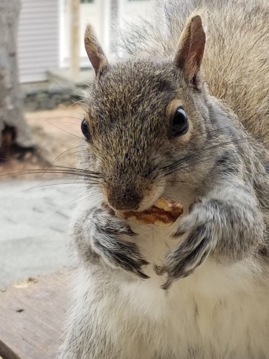 Bill Harnsberger tweet media