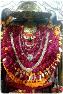 मां विंध्याचल दर्शन tweet media