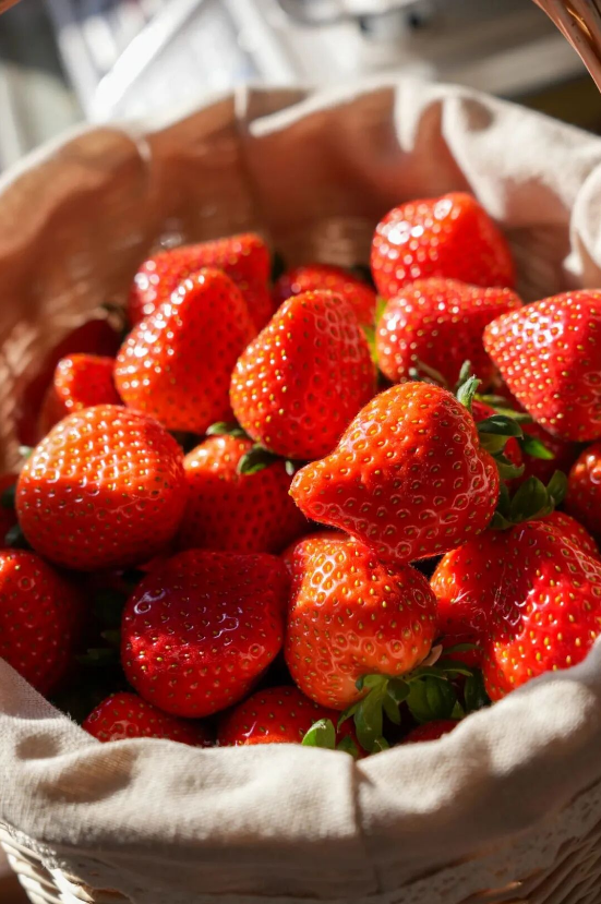 Discover Yantai_JP tweet media