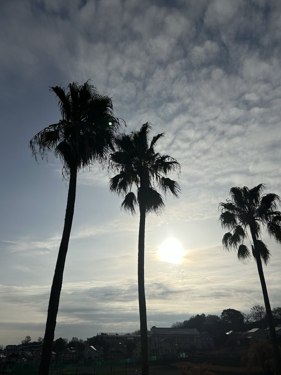 あるがままのミック ⚠️🚫NO DM⚠️ tweet media