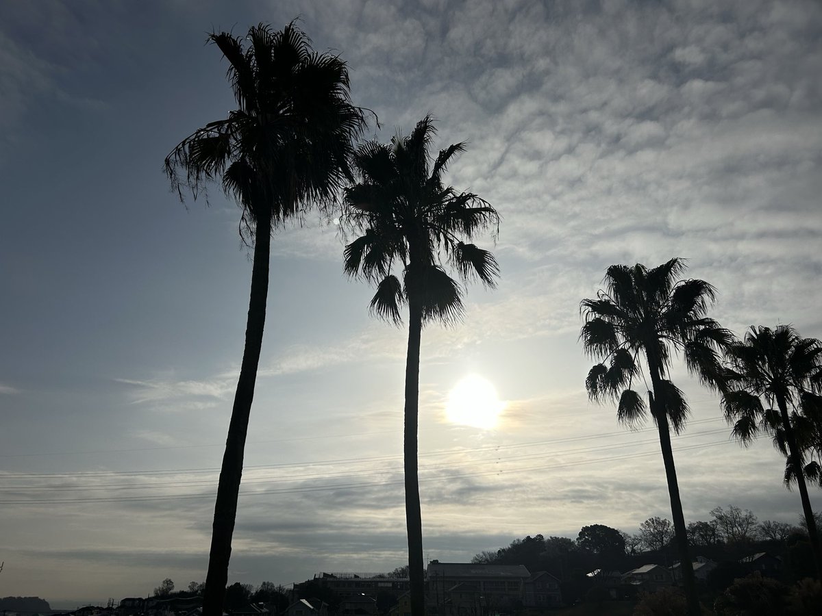 あるがままのミック ⚠️🚫NO DM⚠️ tweet media