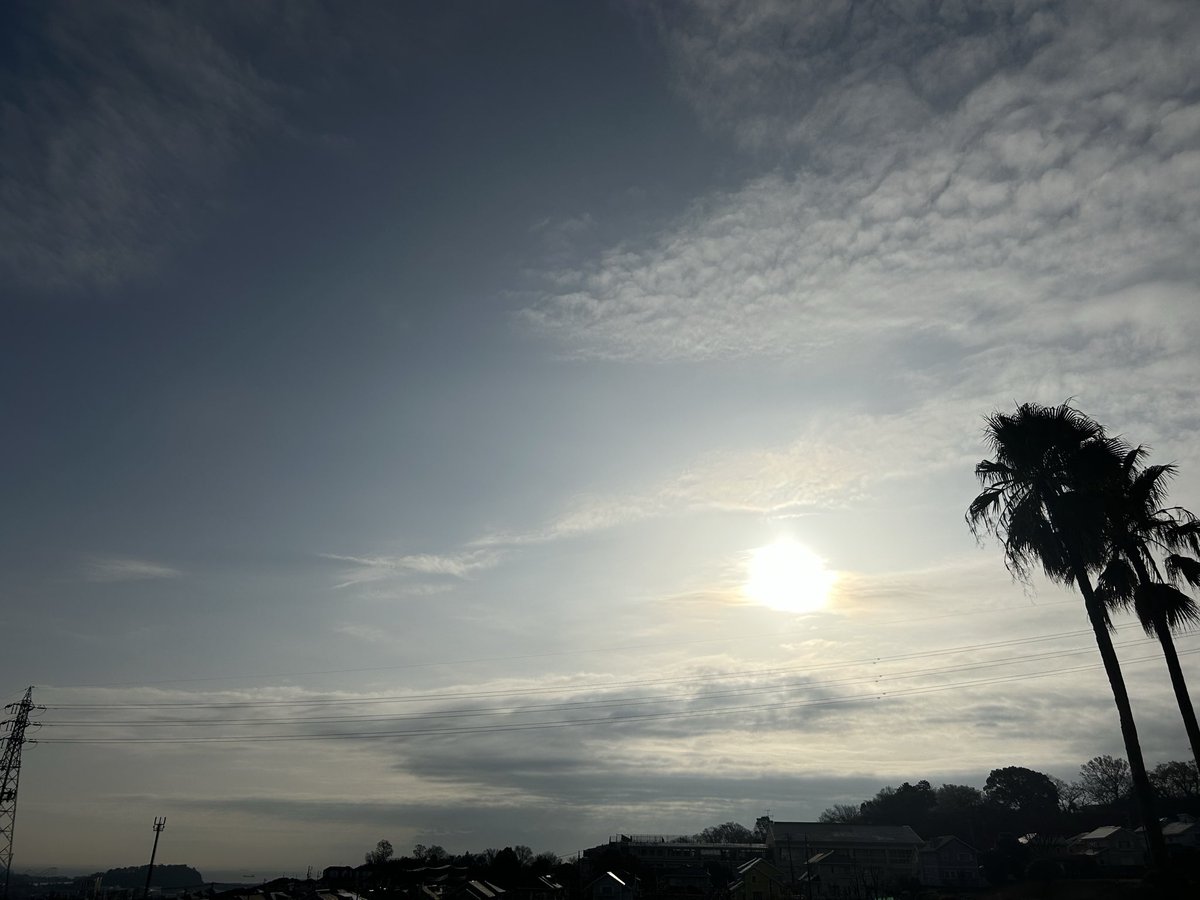 あるがままのミック ⚠️🚫NO DM⚠️ tweet media