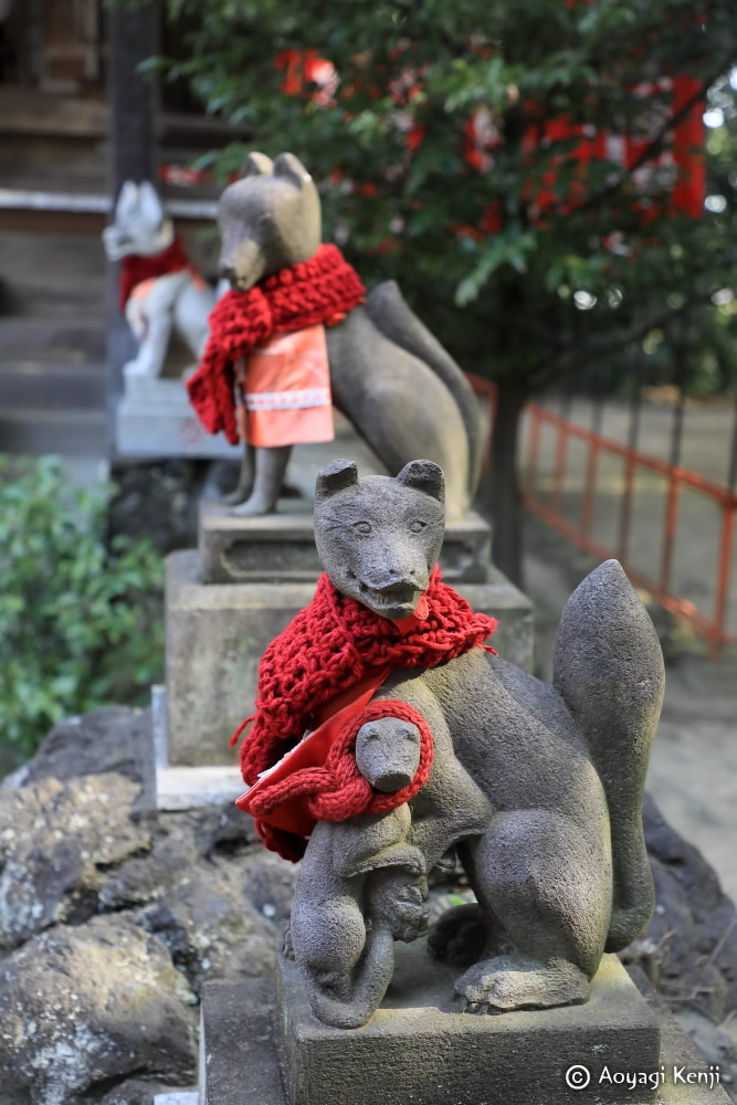 青柳健二＠猫はなぜ祭られたのか？旅のエッセイ『全国の猫神様をめぐる』 tweet media