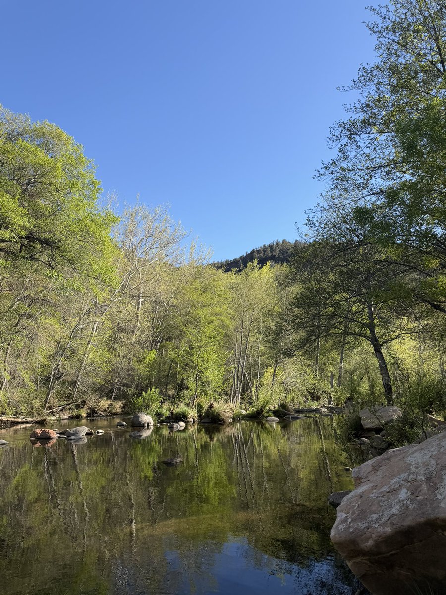 alice carousel tweet media