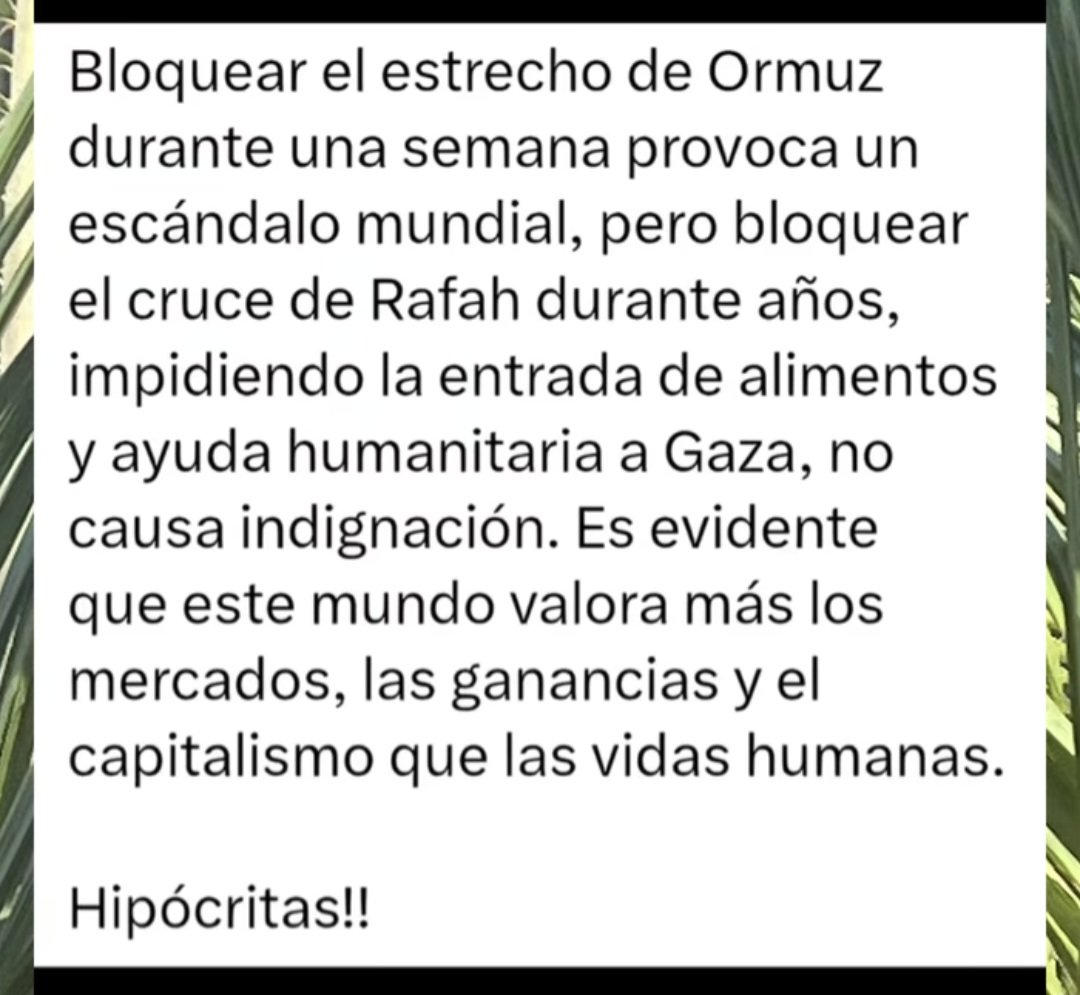 Jose antonio tweet media