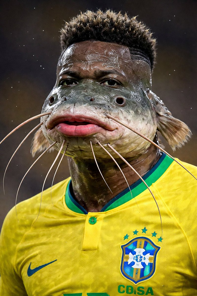 Felipe Cruzeiro 🌀 tweet media