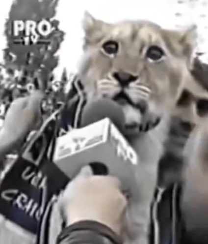 Blair McCutcheon tweet media