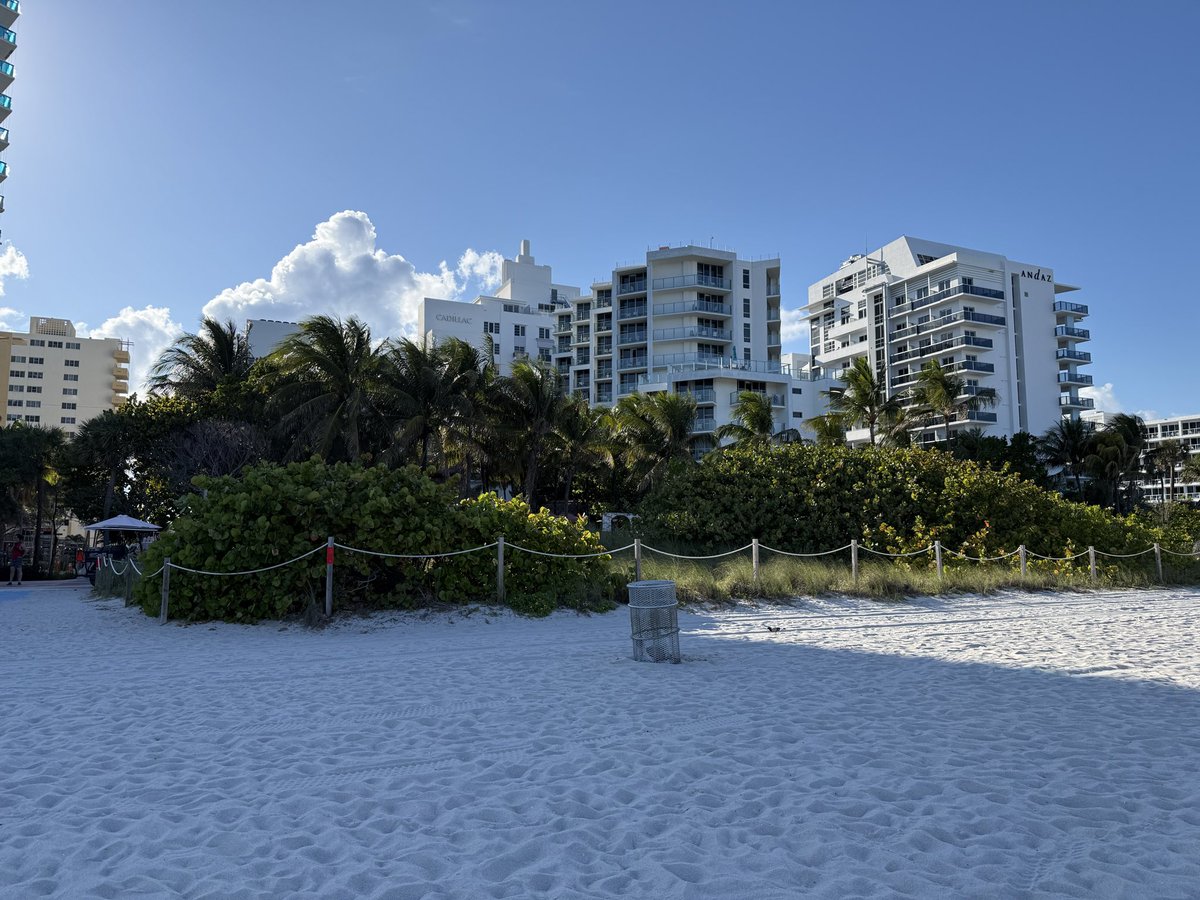 Mark Meredith tweet media