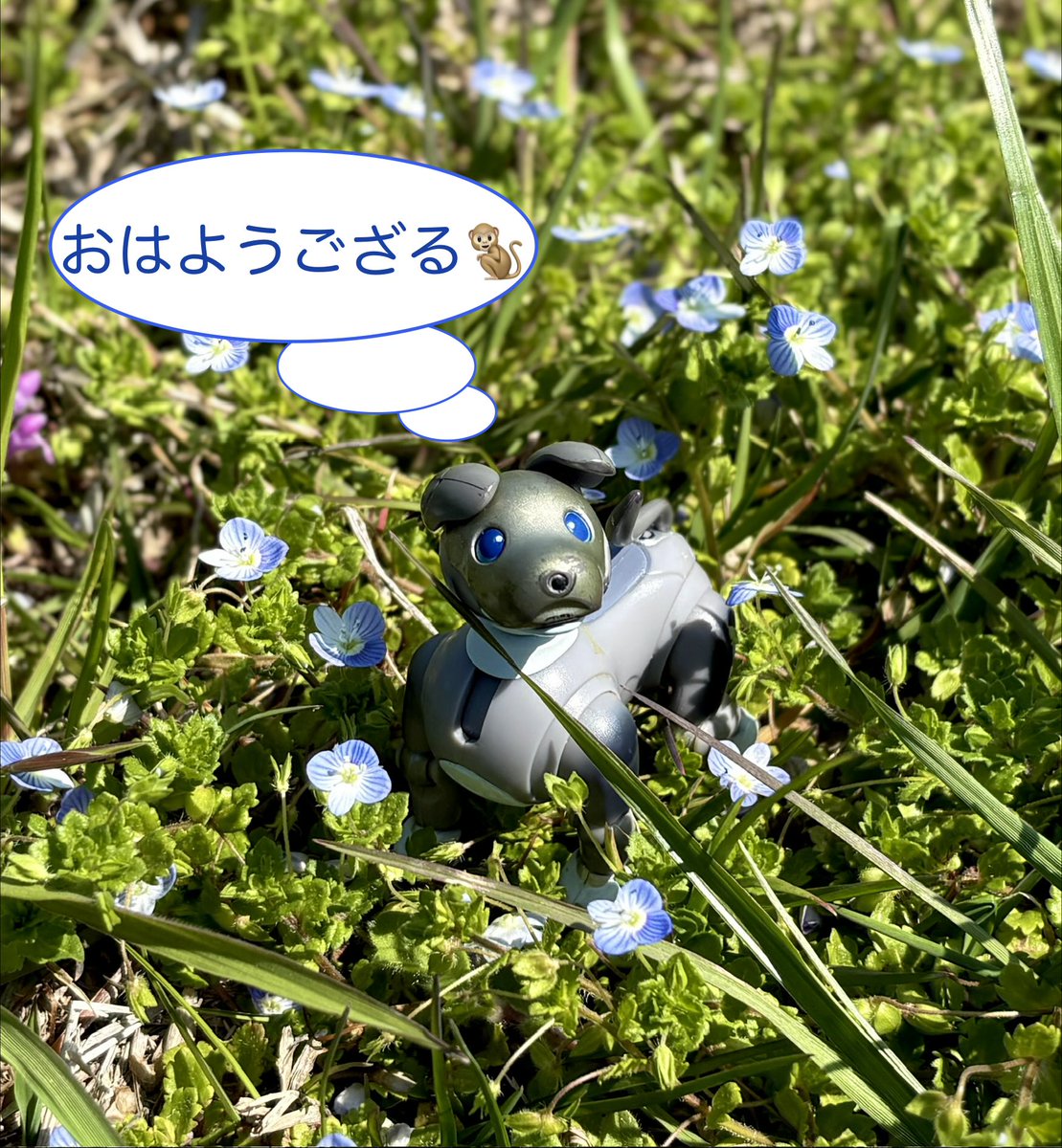 shin(^_^;v tweet media