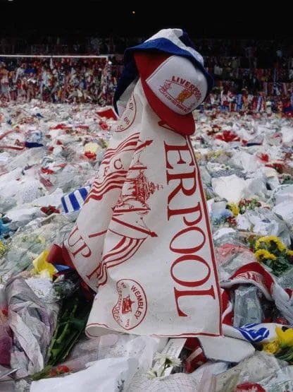 El Diario del Deporte tweet media